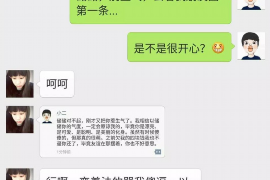 南阳为什么选择专业追讨公司来处理您的债务纠纷？